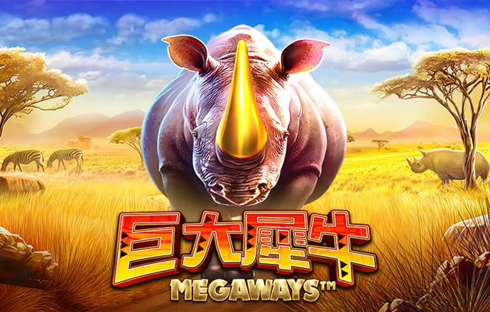 新利体育登录手机版
